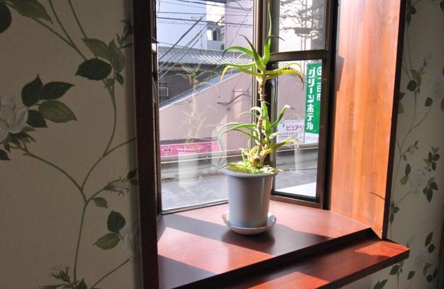 Futsukaichi Green Hotel