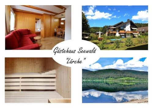 Gästehaus Seewald- Ferienwohnung 4 "Lärche", Schluchsee, Blasiwald