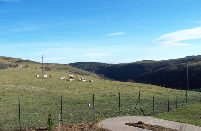 Gîte de Vins Haut - Anzat-le-luguet