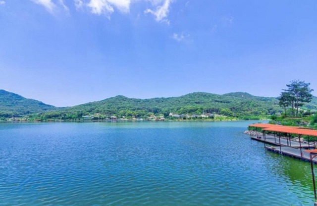Ganghwado Dandelion Pension