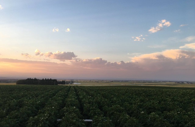 Gather together in a rural farm home surrounded by rolling wheat & potato fields