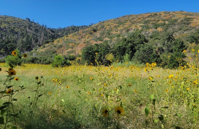 Gather your party for an escape with amazing views, situated on 100+ acres.