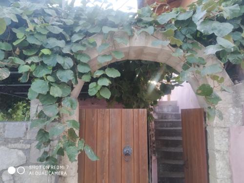 George Traditional Villa