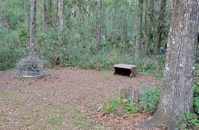Get away to a nice primitive campsite 1 mile from the swaunnee river.