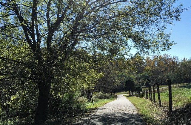 Get Ready for Adventure! 3 Family-friendly units near Duluth History Museum