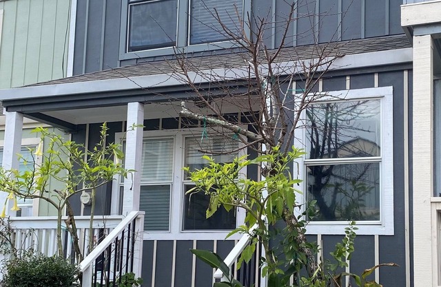 Geyserville Getaway Retreat 30 day minimum