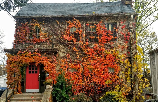 Gigi's Villa