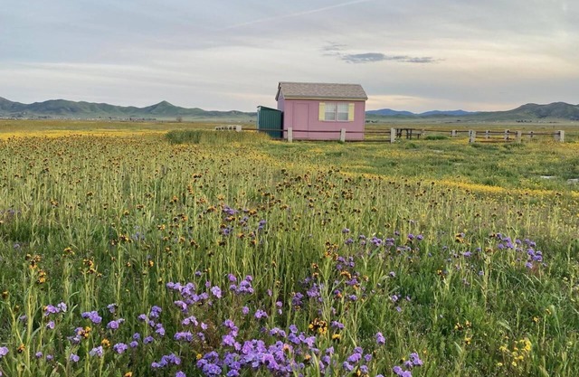 Glamping in the Carrizo Plains