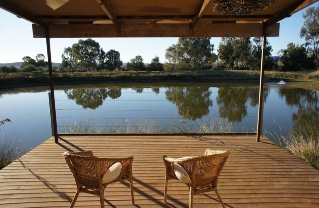 Glamping in the Olive Grove