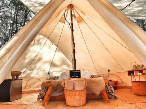 Glamping La Calma, Disfruta y Relájate en Omitlán