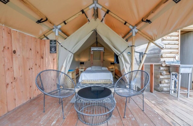 Glamping experience surrounded by nature