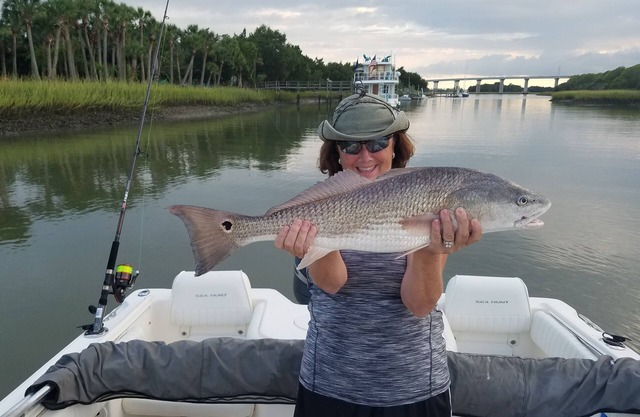 Golf Cart and Quiet Marsh Setting, Walk to Beach and Golf