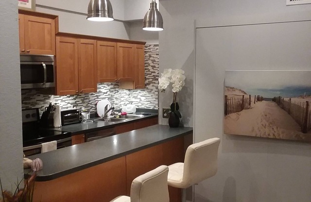 Gorgeous St Pete prime location DT Condo with Bay views !