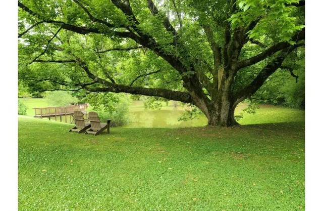 Grace On Trace Homestead BnB (Lower Level)