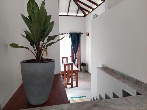 Gracious Home Stay for tourists