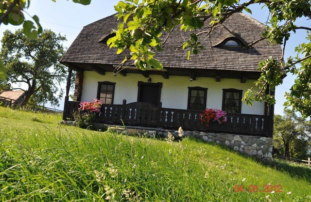 Grandma's House - traditional accomodation house near to Bran Castle