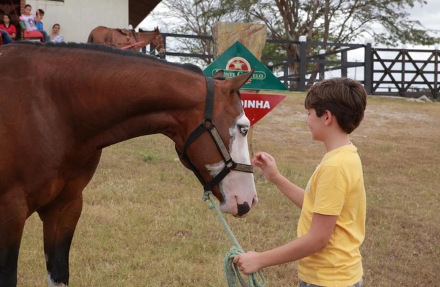 Gravatá - Flat Fazenda Monte Castelo