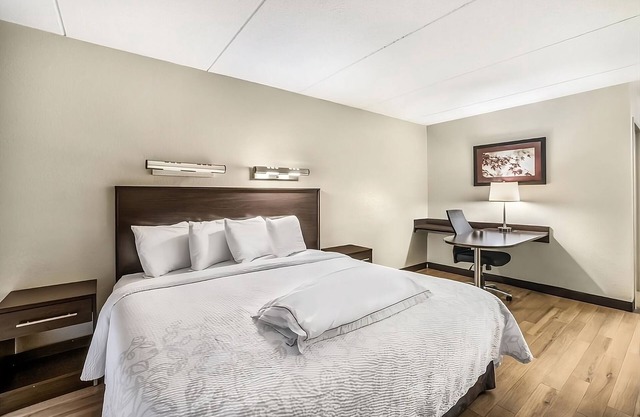 Great Find! 3 Budget-Friendly Units! Pet-Friendly, Minutes to Stone Zoo!