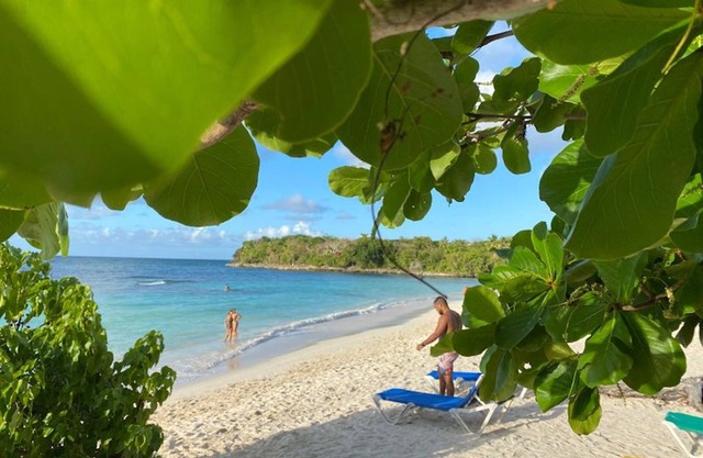 Great Palm View - Apartment 3 in Villa Coconut