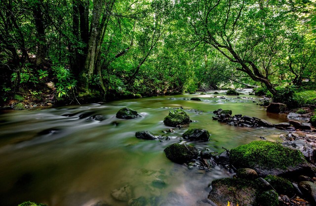 Great Smoky Mountain Creekside Cabin