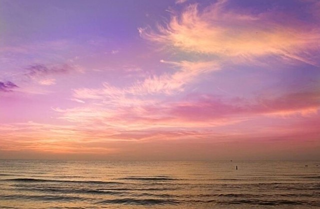 Great Studio - Under 2 minute walk to beach where dogs are welcome