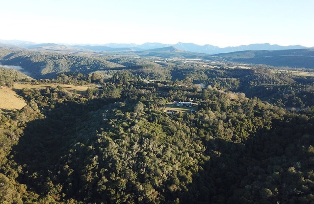 Green Hills Forest Lodge, The Crags, Plettenberg Bay, South Africa - UNIT 3