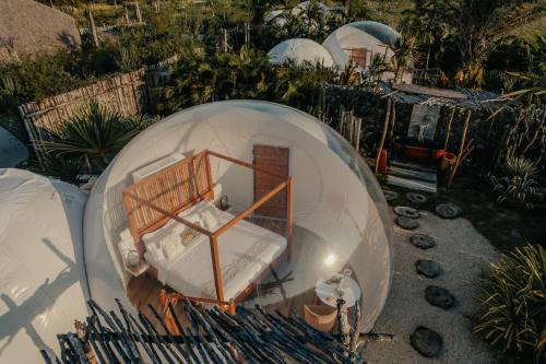 Green Land Bubble Glamping