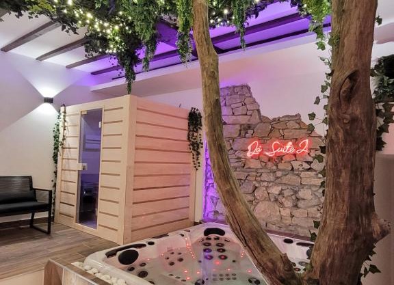 Grenoble LA SUITE 2 spa jaccuzzi et sauna privatif