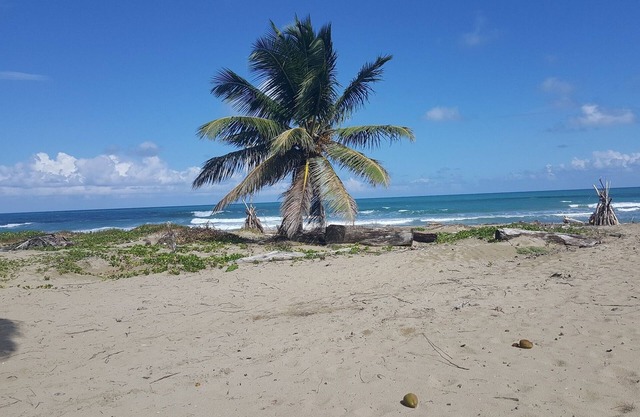 Ground floor B&B room/bathroom on the beach, breakfast included!