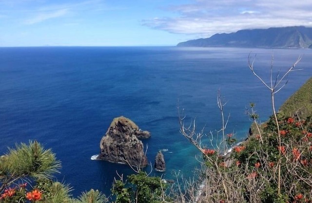 GuestReady - Casa do Bisbis