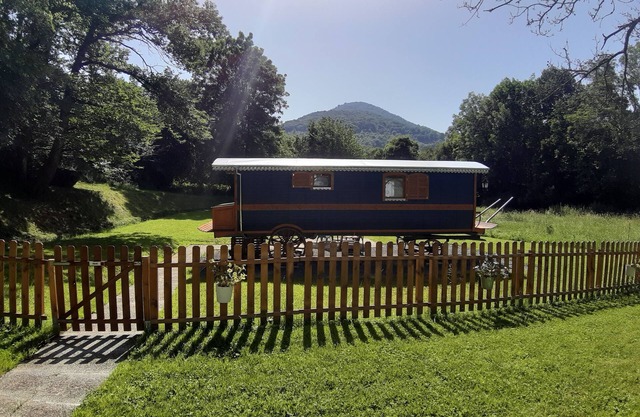 Gypsy Caravan The Great Bear