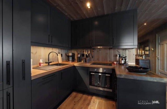 Høgebu - Modern apartment, ski inn/ski ut 30 m