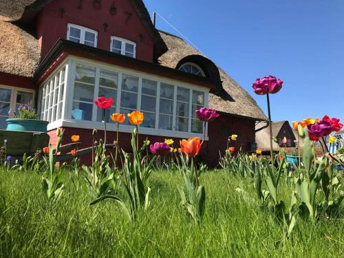 Hüs Sanskiin Ferienwohnung *Driiwholt*