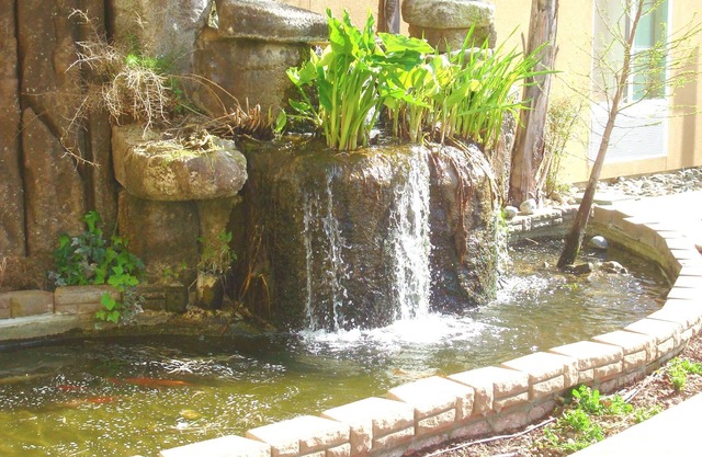 Hampton Inn & Suites Red Bluff