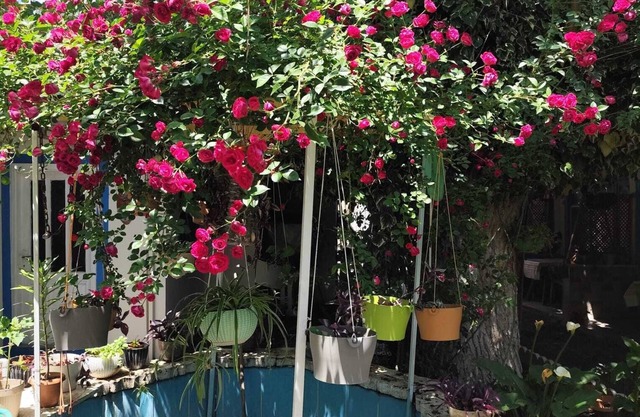 HANCI PANSİYON