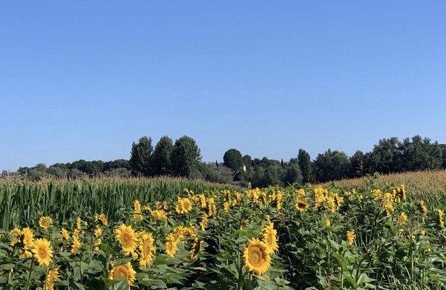 Happiness in the countryside!
