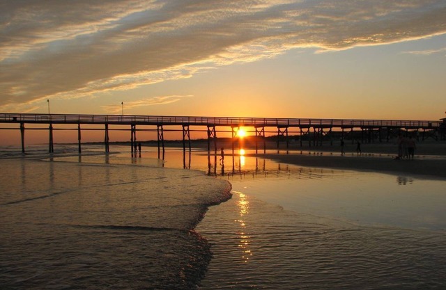 Happy Fall Ya'll! ! Discounts available Inquire NOW & SAVE Money Best value