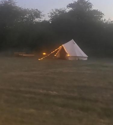 Happy Meadows - Mushroom Street