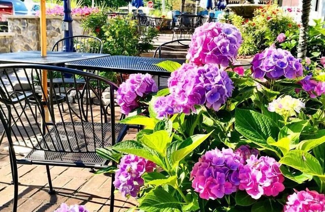 Harbour Square Suites