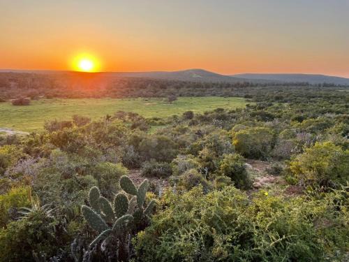 Harmony Luxury Tents & Safari