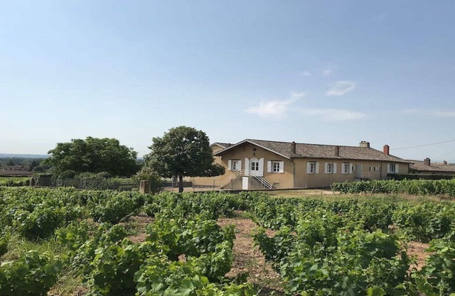 Haut oak cottage in the heart of the Beaujolais vineyard