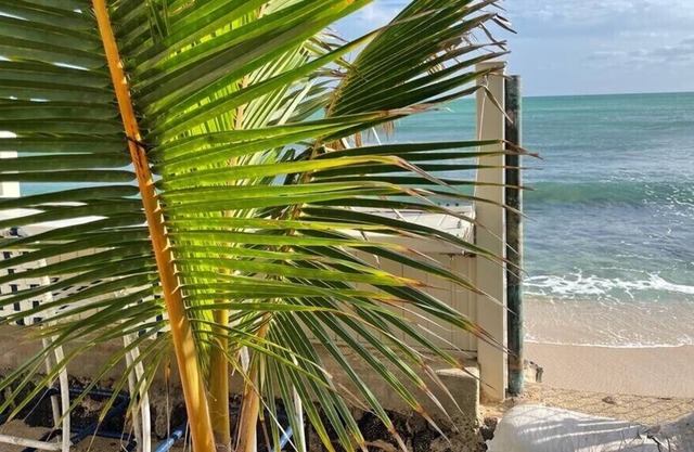 Hawaiian style 3b, 1bath ,WiFi, Free parking.