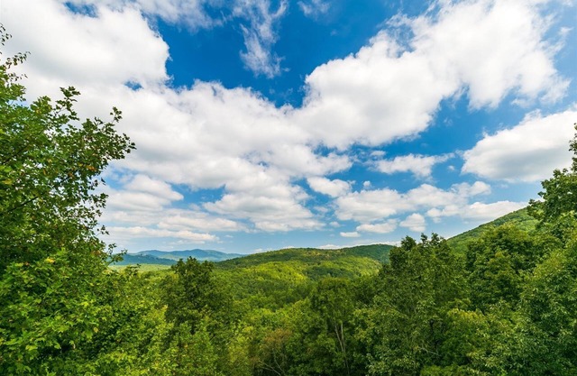 Hawk's Hideaway- Blue Ridge GA