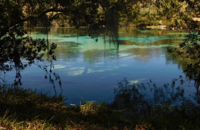 Heart of the Ocala National Forest and Lake Kerr Beautiful & Delightful Lake Cottage