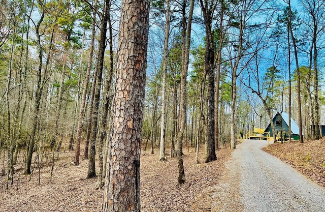 Hidden A-Frame w/hot tub-Near Pristine Lake Ouachita and Hot Springs National Pk