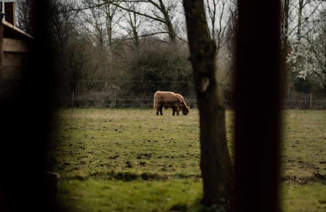Hideaway 1 - Rural Cabin