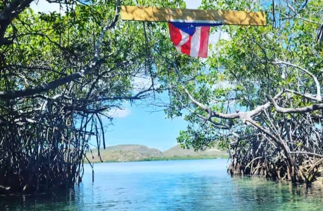 HighTide Guesthouse Apartments, La Parguera