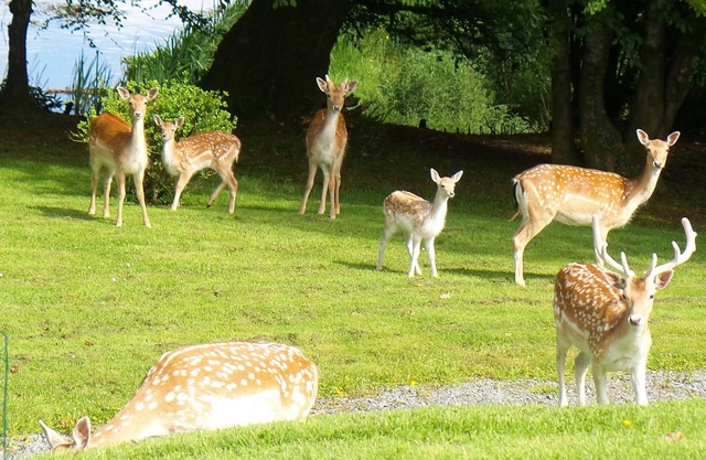 Hillfarm House Farmhouse