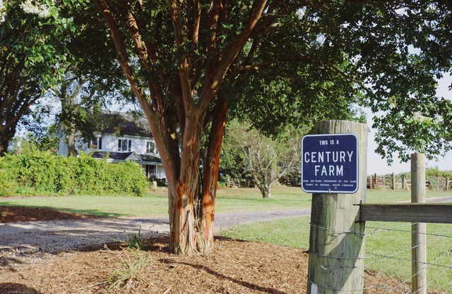 Historic Farm House on 400 Acre Cattle Farm near Clemson, SC
