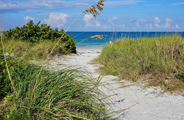 Historic Pass-A-Grille Beach Compound 5/4